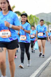 BIB: 9314, 822, 8781
                            <button type="button" onclick="openModal(3168378)" class="btn btn-primary btn-sm float-right btn-popup" data-toggle="modal" data-target=".modal-high-quality">
                        <i class="fas fa-shopping-cart"></i> Add to Cart
                    </button>
                                            <button type="button" onclick="isThisMe(3168378, true)" class="btn btn-success btn-sm float-right btn-popup btn-isme hidden" data-toggle="tooltip" data-placement="bottom" title="นี่คือรูปของคุณใช่ไหม คลิกที่นี่เพื่อเอาเข้าอัลบั้ม">
                        <i class="fas fa-plus"></i> Add to album
                    </button>
                    <button type="button" onclick="isThisMe(3168378, false)" class="btn btn-warning btn-sm float-right btn-popup btn-isnotme hidden">
                        <i class="fas fa-ban"></i> Remove from album
                    </button>