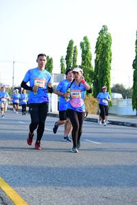 BIB: 8933, 9834
                            <button type="button" onclick="openModal(3153912)" class="btn btn-primary btn-sm float-right btn-popup" data-toggle="modal" data-target=".modal-high-quality">
                        <i class="fas fa-shopping-cart"></i> Add to Cart
                    </button>
                                            <button type="button" onclick="isThisMe(3153912, true)" class="btn btn-success btn-sm float-right btn-popup btn-isme hidden" data-toggle="tooltip" data-placement="bottom" title="นี่คือรูปของคุณใช่ไหม คลิกที่นี่เพื่อเอาเข้าอัลบั้ม">
                        <i class="fas fa-plus"></i> Add to album
                    </button>
                    <button type="button" onclick="isThisMe(3153912, false)" class="btn btn-warning btn-sm float-right btn-popup btn-isnotme hidden">
                        <i class="fas fa-ban"></i> Remove from album
                    </button>