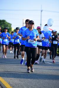 BIB: 
                            <button type="button" onclick="openModal(3143399)" class="btn btn-primary btn-sm float-right btn-popup" data-toggle="modal" data-target=".modal-high-quality">
                        <i class="fas fa-shopping-cart"></i> Add to Cart
                    </button>
                                            <button type="button" onclick="isThisMe(3143399, true)" class="btn btn-success btn-sm float-right btn-popup btn-isme hidden" data-toggle="tooltip" data-placement="bottom" title="นี่คือรูปของคุณใช่ไหม คลิกที่นี่เพื่อเอาเข้าอัลบั้ม">
                        <i class="fas fa-plus"></i> Add to album
                    </button>
                    <button type="button" onclick="isThisMe(3143399, false)" class="btn btn-warning btn-sm float-right btn-popup btn-isnotme hidden">
                        <i class="fas fa-ban"></i> Remove from album
                    </button>