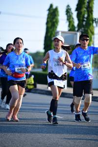 BIB: 6478, 572
                            <button type="button" onclick="openModal(3143152)" class="btn btn-primary btn-sm float-right btn-popup" data-toggle="modal" data-target=".modal-high-quality">
                        <i class="fas fa-shopping-cart"></i> Add to Cart
                    </button>
                                            <button type="button" onclick="isThisMe(3143152, true)" class="btn btn-success btn-sm float-right btn-popup btn-isme hidden" data-toggle="tooltip" data-placement="bottom" title="นี่คือรูปของคุณใช่ไหม คลิกที่นี่เพื่อเอาเข้าอัลบั้ม">
                        <i class="fas fa-plus"></i> Add to album
                    </button>
                    <button type="button" onclick="isThisMe(3143152, false)" class="btn btn-warning btn-sm float-right btn-popup btn-isnotme hidden">
                        <i class="fas fa-ban"></i> Remove from album
                    </button>