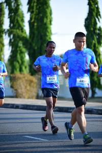 BIB: 6139, 685
                            <button type="button" onclick="openModal(3141487)" class="btn btn-primary btn-sm float-right btn-popup" data-toggle="modal" data-target=".modal-high-quality">
                        <i class="fas fa-shopping-cart"></i> Add to Cart
                    </button>
                                            <button type="button" onclick="isThisMe(3141487, true)" class="btn btn-success btn-sm float-right btn-popup btn-isme hidden" data-toggle="tooltip" data-placement="bottom" title="นี่คือรูปของคุณใช่ไหม คลิกที่นี่เพื่อเอาเข้าอัลบั้ม">
                        <i class="fas fa-plus"></i> Add to album
                    </button>
                    <button type="button" onclick="isThisMe(3141487, false)" class="btn btn-warning btn-sm float-right btn-popup btn-isnotme hidden">
                        <i class="fas fa-ban"></i> Remove from album
                    </button>