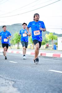 BIB: 8393
                            <button type="button" onclick="openModal(3496656)" class="btn btn-primary btn-sm float-right btn-popup" data-toggle="modal" data-target=".modal-high-quality">
                        <i class="fas fa-shopping-cart"></i> Add to Cart
                    </button>
                                            <button type="button" onclick="isThisMe(3496656, true)" class="btn btn-success btn-sm float-right btn-popup btn-isme hidden" data-toggle="tooltip" data-placement="bottom" title="นี่คือรูปของคุณใช่ไหม คลิกที่นี่เพื่อเอาเข้าอัลบั้ม">
                        <i class="fas fa-plus"></i> Add to album
                    </button>
                    <button type="button" onclick="isThisMe(3496656, false)" class="btn btn-warning btn-sm float-right btn-popup btn-isnotme hidden">
                        <i class="fas fa-ban"></i> Remove from album
                    </button>