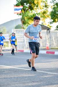 BIB: 6543
                            <button type="button" onclick="openModal(3470343)" class="btn btn-primary btn-sm float-right btn-popup" data-toggle="modal" data-target=".modal-high-quality">
                        <i class="fas fa-shopping-cart"></i> Add to Cart
                    </button>
                                            <button type="button" onclick="isThisMe(3470343, true)" class="btn btn-success btn-sm float-right btn-popup btn-isme hidden" data-toggle="tooltip" data-placement="bottom" title="นี่คือรูปของคุณใช่ไหม คลิกที่นี่เพื่อเอาเข้าอัลบั้ม">
                        <i class="fas fa-plus"></i> Add to album
                    </button>
                    <button type="button" onclick="isThisMe(3470343, false)" class="btn btn-warning btn-sm float-right btn-popup btn-isnotme hidden">
                        <i class="fas fa-ban"></i> Remove from album
                    </button>