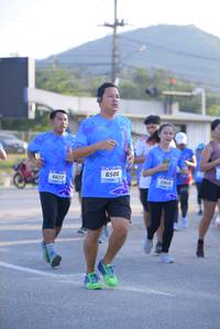 BIB: 6506, 6623, 683
                            <button type="button" onclick="openModal(3146478)" class="btn btn-primary btn-sm float-right btn-popup" data-toggle="modal" data-target=".modal-high-quality">
                        <i class="fas fa-shopping-cart"></i> Add to Cart
                    </button>
                                            <button type="button" onclick="isThisMe(3146478, true)" class="btn btn-success btn-sm float-right btn-popup btn-isme hidden" data-toggle="tooltip" data-placement="bottom" title="นี่คือรูปของคุณใช่ไหม คลิกที่นี่เพื่อเอาเข้าอัลบั้ม">
                        <i class="fas fa-plus"></i> Add to album
                    </button>
                    <button type="button" onclick="isThisMe(3146478, false)" class="btn btn-warning btn-sm float-right btn-popup btn-isnotme hidden">
                        <i class="fas fa-ban"></i> Remove from album
                    </button>