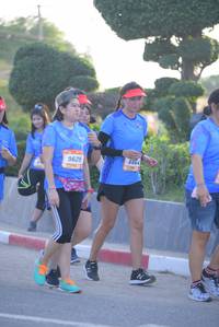 BIB: 9629
                            <button type="button" onclick="openModal(3206447)" class="btn btn-primary btn-sm float-right btn-popup" data-toggle="modal" data-target=".modal-high-quality">
                        <i class="fas fa-shopping-cart"></i> Add to Cart
                    </button>
                                            <button type="button" onclick="isThisMe(3206447, true)" class="btn btn-success btn-sm float-right btn-popup btn-isme hidden" data-toggle="tooltip" data-placement="bottom" title="นี่คือรูปของคุณใช่ไหม คลิกที่นี่เพื่อเอาเข้าอัลบั้ม">
                        <i class="fas fa-plus"></i> Add to album
                    </button>
                    <button type="button" onclick="isThisMe(3206447, false)" class="btn btn-warning btn-sm float-right btn-popup btn-isnotme hidden">
                        <i class="fas fa-ban"></i> Remove from album
                    </button>