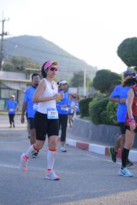 BIB: 7225
                            <button type="button" onclick="openModal(3147345)" class="btn btn-primary btn-sm float-right btn-popup" data-toggle="modal" data-target=".modal-high-quality">
                        <i class="fas fa-shopping-cart"></i> Add to Cart
                    </button>
                                            <button type="button" onclick="isThisMe(3147345, true)" class="btn btn-success btn-sm float-right btn-popup btn-isme hidden" data-toggle="tooltip" data-placement="bottom" title="นี่คือรูปของคุณใช่ไหม คลิกที่นี่เพื่อเอาเข้าอัลบั้ม">
                        <i class="fas fa-plus"></i> Add to album
                    </button>
                    <button type="button" onclick="isThisMe(3147345, false)" class="btn btn-warning btn-sm float-right btn-popup btn-isnotme hidden">
                        <i class="fas fa-ban"></i> Remove from album
                    </button>