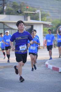 BIB: 6831
                            <button type="button" onclick="openModal(3150003)" class="btn btn-primary btn-sm float-right btn-popup" data-toggle="modal" data-target=".modal-high-quality">
                        <i class="fas fa-shopping-cart"></i> Add to Cart
                    </button>
                                            <button type="button" onclick="isThisMe(3150003, true)" class="btn btn-success btn-sm float-right btn-popup btn-isme hidden" data-toggle="tooltip" data-placement="bottom" title="นี่คือรูปของคุณใช่ไหม คลิกที่นี่เพื่อเอาเข้าอัลบั้ม">
                        <i class="fas fa-plus"></i> Add to album
                    </button>
                    <button type="button" onclick="isThisMe(3150003, false)" class="btn btn-warning btn-sm float-right btn-popup btn-isnotme hidden">
                        <i class="fas fa-ban"></i> Remove from album
                    </button>