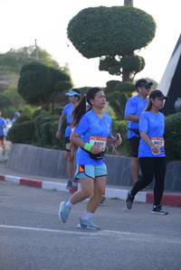 BIB: 8823, 8801
                            <button type="button" onclick="openModal(3172679)" class="btn btn-primary btn-sm float-right btn-popup" data-toggle="modal" data-target=".modal-high-quality">
                        <i class="fas fa-shopping-cart"></i> Add to Cart
                    </button>
                                            <button type="button" onclick="isThisMe(3172679, true)" class="btn btn-success btn-sm float-right btn-popup btn-isme hidden" data-toggle="tooltip" data-placement="bottom" title="นี่คือรูปของคุณใช่ไหม คลิกที่นี่เพื่อเอาเข้าอัลบั้ม">
                        <i class="fas fa-plus"></i> Add to album
                    </button>
                    <button type="button" onclick="isThisMe(3172679, false)" class="btn btn-warning btn-sm float-right btn-popup btn-isnotme hidden">
                        <i class="fas fa-ban"></i> Remove from album
                    </button>