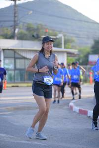 BIB: 244
                            <button type="button" onclick="openModal(3149874)" class="btn btn-primary btn-sm float-right btn-popup" data-toggle="modal" data-target=".modal-high-quality">
                        <i class="fas fa-shopping-cart"></i> Add to Cart
                    </button>
                                            <button type="button" onclick="isThisMe(3149874, true)" class="btn btn-success btn-sm float-right btn-popup btn-isme hidden" data-toggle="tooltip" data-placement="bottom" title="นี่คือรูปของคุณใช่ไหม คลิกที่นี่เพื่อเอาเข้าอัลบั้ม">
                        <i class="fas fa-plus"></i> Add to album
                    </button>
                    <button type="button" onclick="isThisMe(3149874, false)" class="btn btn-warning btn-sm float-right btn-popup btn-isnotme hidden">
                        <i class="fas fa-ban"></i> Remove from album
                    </button>