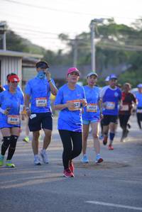 BIB: 8953, 8954, 8418, 
                            <button type="button" onclick="openModal(3164023)" class="btn btn-primary btn-sm float-right btn-popup" data-toggle="modal" data-target=".modal-high-quality">
                        <i class="fas fa-shopping-cart"></i> Add to Cart
                    </button>
                                            <button type="button" onclick="isThisMe(3164023, true)" class="btn btn-success btn-sm float-right btn-popup btn-isme hidden" data-toggle="tooltip" data-placement="bottom" title="นี่คือรูปของคุณใช่ไหม คลิกที่นี่เพื่อเอาเข้าอัลบั้ม">
                        <i class="fas fa-plus"></i> Add to album
                    </button>
                    <button type="button" onclick="isThisMe(3164023, false)" class="btn btn-warning btn-sm float-right btn-popup btn-isnotme hidden">
                        <i class="fas fa-ban"></i> Remove from album
                    </button>