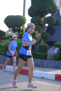 BIB: 
                            <button type="button" onclick="openModal(3152542)" class="btn btn-primary btn-sm float-right btn-popup" data-toggle="modal" data-target=".modal-high-quality">
                        <i class="fas fa-shopping-cart"></i> Add to Cart
                    </button>
                                            <button type="button" onclick="isThisMe(3152542, true)" class="btn btn-success btn-sm float-right btn-popup btn-isme hidden" data-toggle="tooltip" data-placement="bottom" title="นี่คือรูปของคุณใช่ไหม คลิกที่นี่เพื่อเอาเข้าอัลบั้ม">
                        <i class="fas fa-plus"></i> Add to album
                    </button>
                    <button type="button" onclick="isThisMe(3152542, false)" class="btn btn-warning btn-sm float-right btn-popup btn-isnotme hidden">
                        <i class="fas fa-ban"></i> Remove from album
                    </button>