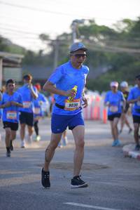 BIB: 9030
                            <button type="button" onclick="openModal(3163819)" class="btn btn-primary btn-sm float-right btn-popup" data-toggle="modal" data-target=".modal-high-quality">
                        <i class="fas fa-shopping-cart"></i> Add to Cart
                    </button>
                                            <button type="button" onclick="isThisMe(3163819, true)" class="btn btn-success btn-sm float-right btn-popup btn-isme hidden" data-toggle="tooltip" data-placement="bottom" title="นี่คือรูปของคุณใช่ไหม คลิกที่นี่เพื่อเอาเข้าอัลบั้ม">
                        <i class="fas fa-plus"></i> Add to album
                    </button>
                    <button type="button" onclick="isThisMe(3163819, false)" class="btn btn-warning btn-sm float-right btn-popup btn-isnotme hidden">
                        <i class="fas fa-ban"></i> Remove from album
                    </button>