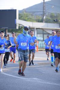 BIB: 6041, 6782, 482
                            <button type="button" onclick="openModal(3143580)" class="btn btn-primary btn-sm float-right btn-popup" data-toggle="modal" data-target=".modal-high-quality">
                        <i class="fas fa-shopping-cart"></i> Add to Cart
                    </button>
                                            <button type="button" onclick="isThisMe(3143580, true)" class="btn btn-success btn-sm float-right btn-popup btn-isme hidden" data-toggle="tooltip" data-placement="bottom" title="นี่คือรูปของคุณใช่ไหม คลิกที่นี่เพื่อเอาเข้าอัลบั้ม">
                        <i class="fas fa-plus"></i> Add to album
                    </button>
                    <button type="button" onclick="isThisMe(3143580, false)" class="btn btn-warning btn-sm float-right btn-popup btn-isnotme hidden">
                        <i class="fas fa-ban"></i> Remove from album
                    </button>