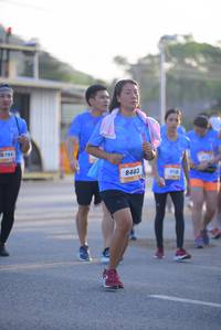 BIB: 794, 8403
                            <button type="button" onclick="openModal(3203391)" class="btn btn-primary btn-sm float-right btn-popup" data-toggle="modal" data-target=".modal-high-quality">
                        <i class="fas fa-shopping-cart"></i> Add to Cart
                    </button>
                                            <button type="button" onclick="isThisMe(3203391, true)" class="btn btn-success btn-sm float-right btn-popup btn-isme hidden" data-toggle="tooltip" data-placement="bottom" title="นี่คือรูปของคุณใช่ไหม คลิกที่นี่เพื่อเอาเข้าอัลบั้ม">
                        <i class="fas fa-plus"></i> Add to album
                    </button>
                    <button type="button" onclick="isThisMe(3203391, false)" class="btn btn-warning btn-sm float-right btn-popup btn-isnotme hidden">
                        <i class="fas fa-ban"></i> Remove from album
                    </button>