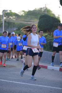 BIB: 
                            <button type="button" onclick="openModal(3204858)" class="btn btn-primary btn-sm float-right btn-popup" data-toggle="modal" data-target=".modal-high-quality">
                        <i class="fas fa-shopping-cart"></i> Add to Cart
                    </button>
                                            <button type="button" onclick="isThisMe(3204858, true)" class="btn btn-success btn-sm float-right btn-popup btn-isme hidden" data-toggle="tooltip" data-placement="bottom" title="นี่คือรูปของคุณใช่ไหม คลิกที่นี่เพื่อเอาเข้าอัลบั้ม">
                        <i class="fas fa-plus"></i> Add to album
                    </button>
                    <button type="button" onclick="isThisMe(3204858, false)" class="btn btn-warning btn-sm float-right btn-popup btn-isnotme hidden">
                        <i class="fas fa-ban"></i> Remove from album
                    </button>