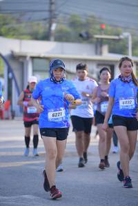 BIB: 6032, 6221
                            <button type="button" onclick="openModal(3146443)" class="btn btn-primary btn-sm float-right btn-popup" data-toggle="modal" data-target=".modal-high-quality">
                        <i class="fas fa-shopping-cart"></i> Add to Cart
                    </button>
                                            <button type="button" onclick="isThisMe(3146443, true)" class="btn btn-success btn-sm float-right btn-popup btn-isme hidden" data-toggle="tooltip" data-placement="bottom" title="นี่คือรูปของคุณใช่ไหม คลิกที่นี่เพื่อเอาเข้าอัลบั้ม">
                        <i class="fas fa-plus"></i> Add to album
                    </button>
                    <button type="button" onclick="isThisMe(3146443, false)" class="btn btn-warning btn-sm float-right btn-popup btn-isnotme hidden">
                        <i class="fas fa-ban"></i> Remove from album
                    </button>