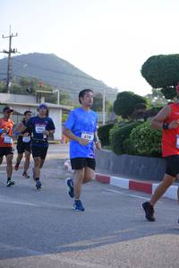 BIB: 6118
                            <button type="button" onclick="openModal(3136132)" class="btn btn-primary btn-sm float-right btn-popup" data-toggle="modal" data-target=".modal-high-quality">
                        <i class="fas fa-shopping-cart"></i> Add to Cart
                    </button>
                                            <button type="button" onclick="isThisMe(3136132, true)" class="btn btn-success btn-sm float-right btn-popup btn-isme hidden" data-toggle="tooltip" data-placement="bottom" title="นี่คือรูปของคุณใช่ไหม คลิกที่นี่เพื่อเอาเข้าอัลบั้ม">
                        <i class="fas fa-plus"></i> Add to album
                    </button>
                    <button type="button" onclick="isThisMe(3136132, false)" class="btn btn-warning btn-sm float-right btn-popup btn-isnotme hidden">
                        <i class="fas fa-ban"></i> Remove from album
                    </button>