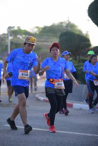 BIB: 8138, 813
                            <button type="button" onclick="openModal(3169424)" class="btn btn-primary btn-sm float-right btn-popup" data-toggle="modal" data-target=".modal-high-quality">
                        <i class="fas fa-shopping-cart"></i> Add to Cart
                    </button>
                                            <button type="button" onclick="isThisMe(3169424, true)" class="btn btn-success btn-sm float-right btn-popup btn-isme hidden" data-toggle="tooltip" data-placement="bottom" title="นี่คือรูปของคุณใช่ไหม คลิกที่นี่เพื่อเอาเข้าอัลบั้ม">
                        <i class="fas fa-plus"></i> Add to album
                    </button>
                    <button type="button" onclick="isThisMe(3169424, false)" class="btn btn-warning btn-sm float-right btn-popup btn-isnotme hidden">
                        <i class="fas fa-ban"></i> Remove from album
                    </button>