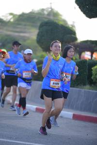 BIB: 8486
                            <button type="button" onclick="openModal(3163319)" class="btn btn-primary btn-sm float-right btn-popup" data-toggle="modal" data-target=".modal-high-quality">
                        <i class="fas fa-shopping-cart"></i> Add to Cart
                    </button>
                                            <button type="button" onclick="isThisMe(3163319, true)" class="btn btn-success btn-sm float-right btn-popup btn-isme hidden" data-toggle="tooltip" data-placement="bottom" title="นี่คือรูปของคุณใช่ไหม คลิกที่นี่เพื่อเอาเข้าอัลบั้ม">
                        <i class="fas fa-plus"></i> Add to album
                    </button>
                    <button type="button" onclick="isThisMe(3163319, false)" class="btn btn-warning btn-sm float-right btn-popup btn-isnotme hidden">
                        <i class="fas fa-ban"></i> Remove from album
                    </button>