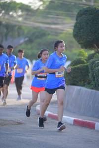 BIB: 
                            <button type="button" onclick="openModal(3160699)" class="btn btn-primary btn-sm float-right btn-popup" data-toggle="modal" data-target=".modal-high-quality">
                        <i class="fas fa-shopping-cart"></i> Add to Cart
                    </button>
                                            <button type="button" onclick="isThisMe(3160699, true)" class="btn btn-success btn-sm float-right btn-popup btn-isme hidden" data-toggle="tooltip" data-placement="bottom" title="นี่คือรูปของคุณใช่ไหม คลิกที่นี่เพื่อเอาเข้าอัลบั้ม">
                        <i class="fas fa-plus"></i> Add to album
                    </button>
                    <button type="button" onclick="isThisMe(3160699, false)" class="btn btn-warning btn-sm float-right btn-popup btn-isnotme hidden">
                        <i class="fas fa-ban"></i> Remove from album
                    </button>