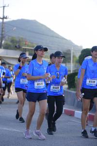 BIB: 6518, 6620, 6510, 6509
                            <button type="button" onclick="openModal(3148904)" class="btn btn-primary btn-sm float-right btn-popup" data-toggle="modal" data-target=".modal-high-quality">
                        <i class="fas fa-shopping-cart"></i> Add to Cart
                    </button>
                                            <button type="button" onclick="isThisMe(3148904, true)" class="btn btn-success btn-sm float-right btn-popup btn-isme hidden" data-toggle="tooltip" data-placement="bottom" title="นี่คือรูปของคุณใช่ไหม คลิกที่นี่เพื่อเอาเข้าอัลบั้ม">
                        <i class="fas fa-plus"></i> Add to album
                    </button>
                    <button type="button" onclick="isThisMe(3148904, false)" class="btn btn-warning btn-sm float-right btn-popup btn-isnotme hidden">
                        <i class="fas fa-ban"></i> Remove from album
                    </button>