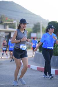 BIB: 7244
                            <button type="button" onclick="openModal(3149905)" class="btn btn-primary btn-sm float-right btn-popup" data-toggle="modal" data-target=".modal-high-quality">
                        <i class="fas fa-shopping-cart"></i> Add to Cart
                    </button>
                                            <button type="button" onclick="isThisMe(3149905, true)" class="btn btn-success btn-sm float-right btn-popup btn-isme hidden" data-toggle="tooltip" data-placement="bottom" title="นี่คือรูปของคุณใช่ไหม คลิกที่นี่เพื่อเอาเข้าอัลบั้ม">
                        <i class="fas fa-plus"></i> Add to album
                    </button>
                    <button type="button" onclick="isThisMe(3149905, false)" class="btn btn-warning btn-sm float-right btn-popup btn-isnotme hidden">
                        <i class="fas fa-ban"></i> Remove from album
                    </button>