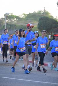 BIB: 8642, 9813
                            <button type="button" onclick="openModal(3206243)" class="btn btn-primary btn-sm float-right btn-popup" data-toggle="modal" data-target=".modal-high-quality">
                        <i class="fas fa-shopping-cart"></i> Add to Cart
                    </button>
                                            <button type="button" onclick="isThisMe(3206243, true)" class="btn btn-success btn-sm float-right btn-popup btn-isme hidden" data-toggle="tooltip" data-placement="bottom" title="นี่คือรูปของคุณใช่ไหม คลิกที่นี่เพื่อเอาเข้าอัลบั้ม">
                        <i class="fas fa-plus"></i> Add to album
                    </button>
                    <button type="button" onclick="isThisMe(3206243, false)" class="btn btn-warning btn-sm float-right btn-popup btn-isnotme hidden">
                        <i class="fas fa-ban"></i> Remove from album
                    </button>