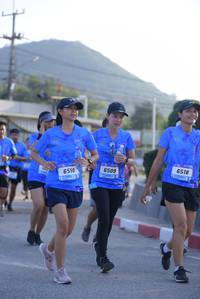 BIB: 6518, 6509, 6510
                            <button type="button" onclick="openModal(3148915)" class="btn btn-primary btn-sm float-right btn-popup" data-toggle="modal" data-target=".modal-high-quality">
                        <i class="fas fa-shopping-cart"></i> Add to Cart
                    </button>
                                            <button type="button" onclick="isThisMe(3148915, true)" class="btn btn-success btn-sm float-right btn-popup btn-isme hidden" data-toggle="tooltip" data-placement="bottom" title="นี่คือรูปของคุณใช่ไหม คลิกที่นี่เพื่อเอาเข้าอัลบั้ม">
                        <i class="fas fa-plus"></i> Add to album
                    </button>
                    <button type="button" onclick="isThisMe(3148915, false)" class="btn btn-warning btn-sm float-right btn-popup btn-isnotme hidden">
                        <i class="fas fa-ban"></i> Remove from album
                    </button>