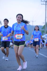 BIB: 9012, 300
                            <button type="button" onclick="openModal(3223036)" class="btn btn-primary btn-sm float-right btn-popup" data-toggle="modal" data-target=".modal-high-quality">
                        <i class="fas fa-shopping-cart"></i> Add to Cart
                    </button>
                                            <button type="button" onclick="isThisMe(3223036, true)" class="btn btn-success btn-sm float-right btn-popup btn-isme hidden" data-toggle="tooltip" data-placement="bottom" title="นี่คือรูปของคุณใช่ไหม คลิกที่นี่เพื่อเอาเข้าอัลบั้ม">
                        <i class="fas fa-plus"></i> Add to album
                    </button>
                    <button type="button" onclick="isThisMe(3223036, false)" class="btn btn-warning btn-sm float-right btn-popup btn-isnotme hidden">
                        <i class="fas fa-ban"></i> Remove from album
                    </button>