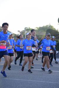 BIB: 8474, 8176, 8174
                            <button type="button" onclick="openModal(3201492)" class="btn btn-primary btn-sm float-right btn-popup" data-toggle="modal" data-target=".modal-high-quality">
                        <i class="fas fa-shopping-cart"></i> Add to Cart
                    </button>
                                            <button type="button" onclick="isThisMe(3201492, true)" class="btn btn-success btn-sm float-right btn-popup btn-isme hidden" data-toggle="tooltip" data-placement="bottom" title="นี่คือรูปของคุณใช่ไหม คลิกที่นี่เพื่อเอาเข้าอัลบั้ม">
                        <i class="fas fa-plus"></i> Add to album
                    </button>
                    <button type="button" onclick="isThisMe(3201492, false)" class="btn btn-warning btn-sm float-right btn-popup btn-isnotme hidden">
                        <i class="fas fa-ban"></i> Remove from album
                    </button>