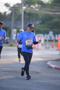 BIB: 
                            <button type="button" onclick="openModal(3160775)" class="btn btn-primary btn-sm float-right btn-popup" data-toggle="modal" data-target=".modal-high-quality">
                        <i class="fas fa-shopping-cart"></i> Add to Cart
                    </button>
                                            <button type="button" onclick="isThisMe(3160775, true)" class="btn btn-success btn-sm float-right btn-popup btn-isme hidden" data-toggle="tooltip" data-placement="bottom" title="นี่คือรูปของคุณใช่ไหม คลิกที่นี่เพื่อเอาเข้าอัลบั้ม">
                        <i class="fas fa-plus"></i> Add to album
                    </button>
                    <button type="button" onclick="isThisMe(3160775, false)" class="btn btn-warning btn-sm float-right btn-popup btn-isnotme hidden">
                        <i class="fas fa-ban"></i> Remove from album
                    </button>