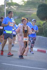 BIB: 9579, 9580
                            <button type="button" onclick="openModal(3203092)" class="btn btn-primary btn-sm float-right btn-popup" data-toggle="modal" data-target=".modal-high-quality">
                        <i class="fas fa-shopping-cart"></i> Add to Cart
                    </button>
                                            <button type="button" onclick="isThisMe(3203092, true)" class="btn btn-success btn-sm float-right btn-popup btn-isme hidden" data-toggle="tooltip" data-placement="bottom" title="นี่คือรูปของคุณใช่ไหม คลิกที่นี่เพื่อเอาเข้าอัลบั้ม">
                        <i class="fas fa-plus"></i> Add to album
                    </button>
                    <button type="button" onclick="isThisMe(3203092, false)" class="btn btn-warning btn-sm float-right btn-popup btn-isnotme hidden">
                        <i class="fas fa-ban"></i> Remove from album
                    </button>