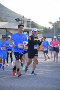 BIB: 8493, 684, 9891, 9120
                            <button type="button" onclick="openModal(3164252)" class="btn btn-primary btn-sm float-right btn-popup" data-toggle="modal" data-target=".modal-high-quality">
                        <i class="fas fa-shopping-cart"></i> Add to Cart
                    </button>
                                            <button type="button" onclick="isThisMe(3164252, true)" class="btn btn-success btn-sm float-right btn-popup btn-isme hidden" data-toggle="tooltip" data-placement="bottom" title="นี่คือรูปของคุณใช่ไหม คลิกที่นี่เพื่อเอาเข้าอัลบั้ม">
                        <i class="fas fa-plus"></i> Add to album
                    </button>
                    <button type="button" onclick="isThisMe(3164252, false)" class="btn btn-warning btn-sm float-right btn-popup btn-isnotme hidden">
                        <i class="fas fa-ban"></i> Remove from album
                    </button>