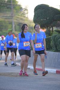 BIB: 8473, 8472
                            <button type="button" onclick="openModal(3209342)" class="btn btn-primary btn-sm float-right btn-popup" data-toggle="modal" data-target=".modal-high-quality">
                        <i class="fas fa-shopping-cart"></i> Add to Cart
                    </button>
                                            <button type="button" onclick="isThisMe(3209342, true)" class="btn btn-success btn-sm float-right btn-popup btn-isme hidden" data-toggle="tooltip" data-placement="bottom" title="นี่คือรูปของคุณใช่ไหม คลิกที่นี่เพื่อเอาเข้าอัลบั้ม">
                        <i class="fas fa-plus"></i> Add to album
                    </button>
                    <button type="button" onclick="isThisMe(3209342, false)" class="btn btn-warning btn-sm float-right btn-popup btn-isnotme hidden">
                        <i class="fas fa-ban"></i> Remove from album
                    </button>
