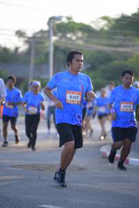 BIB: 
                            <button type="button" onclick="openModal(3164949)" class="btn btn-primary btn-sm float-right btn-popup" data-toggle="modal" data-target=".modal-high-quality">
                        <i class="fas fa-shopping-cart"></i> Add to Cart
                    </button>
                                            <button type="button" onclick="isThisMe(3164949, true)" class="btn btn-success btn-sm float-right btn-popup btn-isme hidden" data-toggle="tooltip" data-placement="bottom" title="นี่คือรูปของคุณใช่ไหม คลิกที่นี่เพื่อเอาเข้าอัลบั้ม">
                        <i class="fas fa-plus"></i> Add to album
                    </button>
                    <button type="button" onclick="isThisMe(3164949, false)" class="btn btn-warning btn-sm float-right btn-popup btn-isnotme hidden">
                        <i class="fas fa-ban"></i> Remove from album
                    </button>