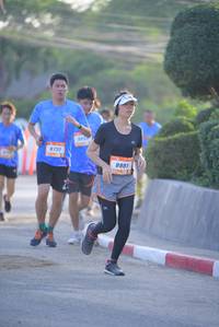 BIB: 8731, 8881
                            <button type="button" onclick="openModal(3161129)" class="btn btn-primary btn-sm float-right btn-popup" data-toggle="modal" data-target=".modal-high-quality">
                        <i class="fas fa-shopping-cart"></i> Add to Cart
                    </button>
                                            <button type="button" onclick="isThisMe(3161129, true)" class="btn btn-success btn-sm float-right btn-popup btn-isme hidden" data-toggle="tooltip" data-placement="bottom" title="นี่คือรูปของคุณใช่ไหม คลิกที่นี่เพื่อเอาเข้าอัลบั้ม">
                        <i class="fas fa-plus"></i> Add to album
                    </button>
                    <button type="button" onclick="isThisMe(3161129, false)" class="btn btn-warning btn-sm float-right btn-popup btn-isnotme hidden">
                        <i class="fas fa-ban"></i> Remove from album
                    </button>