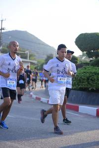 BIB: 6777, 6778
                            <button type="button" onclick="openModal(3142812)" class="btn btn-primary btn-sm float-right btn-popup" data-toggle="modal" data-target=".modal-high-quality">
                        <i class="fas fa-shopping-cart"></i> Add to Cart
                    </button>
                                            <button type="button" onclick="isThisMe(3142812, true)" class="btn btn-success btn-sm float-right btn-popup btn-isme hidden" data-toggle="tooltip" data-placement="bottom" title="นี่คือรูปของคุณใช่ไหม คลิกที่นี่เพื่อเอาเข้าอัลบั้ม">
                        <i class="fas fa-plus"></i> Add to album
                    </button>
                    <button type="button" onclick="isThisMe(3142812, false)" class="btn btn-warning btn-sm float-right btn-popup btn-isnotme hidden">
                        <i class="fas fa-ban"></i> Remove from album
                    </button>