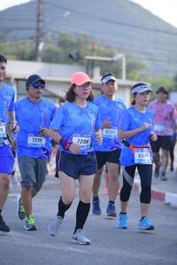 BIB: 6325, 7210, 7206, 650
                            <button type="button" onclick="openModal(3146999)" class="btn btn-primary btn-sm float-right btn-popup" data-toggle="modal" data-target=".modal-high-quality">
                        <i class="fas fa-shopping-cart"></i> Add to Cart
                    </button>
                                            <button type="button" onclick="isThisMe(3146999, true)" class="btn btn-success btn-sm float-right btn-popup btn-isme hidden" data-toggle="tooltip" data-placement="bottom" title="นี่คือรูปของคุณใช่ไหม คลิกที่นี่เพื่อเอาเข้าอัลบั้ม">
                        <i class="fas fa-plus"></i> Add to album
                    </button>
                    <button type="button" onclick="isThisMe(3146999, false)" class="btn btn-warning btn-sm float-right btn-popup btn-isnotme hidden">
                        <i class="fas fa-ban"></i> Remove from album
                    </button>