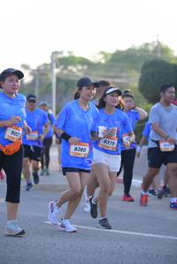 BIB: 8379, 9021, 8380
                            <button type="button" onclick="openModal(3203743)" class="btn btn-primary btn-sm float-right btn-popup" data-toggle="modal" data-target=".modal-high-quality">
                        <i class="fas fa-shopping-cart"></i> Add to Cart
                    </button>
                                            <button type="button" onclick="isThisMe(3203743, true)" class="btn btn-success btn-sm float-right btn-popup btn-isme hidden" data-toggle="tooltip" data-placement="bottom" title="นี่คือรูปของคุณใช่ไหม คลิกที่นี่เพื่อเอาเข้าอัลบั้ม">
                        <i class="fas fa-plus"></i> Add to album
                    </button>
                    <button type="button" onclick="isThisMe(3203743, false)" class="btn btn-warning btn-sm float-right btn-popup btn-isnotme hidden">
                        <i class="fas fa-ban"></i> Remove from album
                    </button>