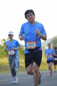 BIB: 8224
                            <button type="button" onclick="openModal(3419874)" class="btn btn-primary btn-sm float-right btn-popup" data-toggle="modal" data-target=".modal-high-quality">
                        <i class="fas fa-shopping-cart"></i> Add to Cart
                    </button>
                                            <button type="button" onclick="isThisMe(3419874, true)" class="btn btn-success btn-sm float-right btn-popup btn-isme hidden" data-toggle="tooltip" data-placement="bottom" title="นี่คือรูปของคุณใช่ไหม คลิกที่นี่เพื่อเอาเข้าอัลบั้ม">
                        <i class="fas fa-plus"></i> Add to album
                    </button>
                    <button type="button" onclick="isThisMe(3419874, false)" class="btn btn-warning btn-sm float-right btn-popup btn-isnotme hidden">
                        <i class="fas fa-ban"></i> Remove from album
                    </button>