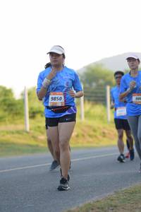 BIB: 9850, 988
                            <button type="button" onclick="openModal(3417922)" class="btn btn-primary btn-sm float-right btn-popup" data-toggle="modal" data-target=".modal-high-quality">
                        <i class="fas fa-shopping-cart"></i> Add to Cart
                    </button>
                                            <button type="button" onclick="isThisMe(3417922, true)" class="btn btn-success btn-sm float-right btn-popup btn-isme hidden" data-toggle="tooltip" data-placement="bottom" title="นี่คือรูปของคุณใช่ไหม คลิกที่นี่เพื่อเอาเข้าอัลบั้ม">
                        <i class="fas fa-plus"></i> Add to album
                    </button>
                    <button type="button" onclick="isThisMe(3417922, false)" class="btn btn-warning btn-sm float-right btn-popup btn-isnotme hidden">
                        <i class="fas fa-ban"></i> Remove from album
                    </button>