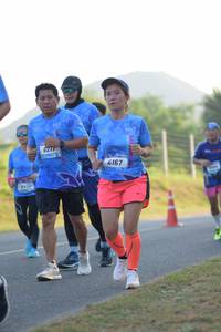 BIB: 6167, 
                            <button type="button" onclick="openModal(3400412)" class="btn btn-primary btn-sm float-right btn-popup" data-toggle="modal" data-target=".modal-high-quality">
                        <i class="fas fa-shopping-cart"></i> Add to Cart
                    </button>
                                            <button type="button" onclick="isThisMe(3400412, true)" class="btn btn-success btn-sm float-right btn-popup btn-isme hidden" data-toggle="tooltip" data-placement="bottom" title="นี่คือรูปของคุณใช่ไหม คลิกที่นี่เพื่อเอาเข้าอัลบั้ม">
                        <i class="fas fa-plus"></i> Add to album
                    </button>
                    <button type="button" onclick="isThisMe(3400412, false)" class="btn btn-warning btn-sm float-right btn-popup btn-isnotme hidden">
                        <i class="fas fa-ban"></i> Remove from album
                    </button>