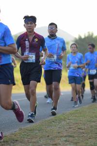 BIB: 
                            <button type="button" onclick="openModal(3401211)" class="btn btn-primary btn-sm float-right btn-popup" data-toggle="modal" data-target=".modal-high-quality">
                        <i class="fas fa-shopping-cart"></i> Add to Cart
                    </button>
                                            <button type="button" onclick="isThisMe(3401211, true)" class="btn btn-success btn-sm float-right btn-popup btn-isme hidden" data-toggle="tooltip" data-placement="bottom" title="นี่คือรูปของคุณใช่ไหม คลิกที่นี่เพื่อเอาเข้าอัลบั้ม">
                        <i class="fas fa-plus"></i> Add to album
                    </button>
                    <button type="button" onclick="isThisMe(3401211, false)" class="btn btn-warning btn-sm float-right btn-popup btn-isnotme hidden">
                        <i class="fas fa-ban"></i> Remove from album
                    </button>