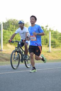 BIB: 8299
                            <button type="button" onclick="openModal(3407000)" class="btn btn-primary btn-sm float-right btn-popup" data-toggle="modal" data-target=".modal-high-quality">
                        <i class="fas fa-shopping-cart"></i> Add to Cart
                    </button>
                                            <button type="button" onclick="isThisMe(3407000, true)" class="btn btn-success btn-sm float-right btn-popup btn-isme hidden" data-toggle="tooltip" data-placement="bottom" title="นี่คือรูปของคุณใช่ไหม คลิกที่นี่เพื่อเอาเข้าอัลบั้ม">
                        <i class="fas fa-plus"></i> Add to album
                    </button>
                    <button type="button" onclick="isThisMe(3407000, false)" class="btn btn-warning btn-sm float-right btn-popup btn-isnotme hidden">
                        <i class="fas fa-ban"></i> Remove from album
                    </button>