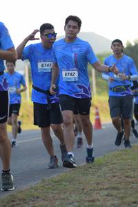 BIB: 6741, 6742
                            <button type="button" onclick="openModal(3395454)" class="btn btn-primary btn-sm float-right btn-popup" data-toggle="modal" data-target=".modal-high-quality">
                        <i class="fas fa-shopping-cart"></i> Add to Cart
                    </button>
                                            <button type="button" onclick="isThisMe(3395454, true)" class="btn btn-success btn-sm float-right btn-popup btn-isme hidden" data-toggle="tooltip" data-placement="bottom" title="นี่คือรูปของคุณใช่ไหม คลิกที่นี่เพื่อเอาเข้าอัลบั้ม">
                        <i class="fas fa-plus"></i> Add to album
                    </button>
                    <button type="button" onclick="isThisMe(3395454, false)" class="btn btn-warning btn-sm float-right btn-popup btn-isnotme hidden">
                        <i class="fas fa-ban"></i> Remove from album
                    </button>