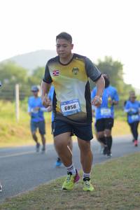 BIB: 6856
                            <button type="button" onclick="openModal(3397655)" class="btn btn-primary btn-sm float-right btn-popup" data-toggle="modal" data-target=".modal-high-quality">
                        <i class="fas fa-shopping-cart"></i> Add to Cart
                    </button>
                                            <button type="button" onclick="isThisMe(3397655, true)" class="btn btn-success btn-sm float-right btn-popup btn-isme hidden" data-toggle="tooltip" data-placement="bottom" title="นี่คือรูปของคุณใช่ไหม คลิกที่นี่เพื่อเอาเข้าอัลบั้ม">
                        <i class="fas fa-plus"></i> Add to album
                    </button>
                    <button type="button" onclick="isThisMe(3397655, false)" class="btn btn-warning btn-sm float-right btn-popup btn-isnotme hidden">
                        <i class="fas fa-ban"></i> Remove from album
                    </button>