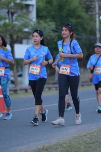 BIB: 8574, 8577
                            <button type="button" onclick="openModal(3504867)" class="btn btn-primary btn-sm float-right btn-popup" data-toggle="modal" data-target=".modal-high-quality">
                        <i class="fas fa-shopping-cart"></i> Add to Cart
                    </button>
                                            <button type="button" onclick="isThisMe(3504867, true)" class="btn btn-success btn-sm float-right btn-popup btn-isme hidden" data-toggle="tooltip" data-placement="bottom" title="นี่คือรูปของคุณใช่ไหม คลิกที่นี่เพื่อเอาเข้าอัลบั้ม">
                        <i class="fas fa-plus"></i> Add to album
                    </button>
                    <button type="button" onclick="isThisMe(3504867, false)" class="btn btn-warning btn-sm float-right btn-popup btn-isnotme hidden">
                        <i class="fas fa-ban"></i> Remove from album
                    </button>