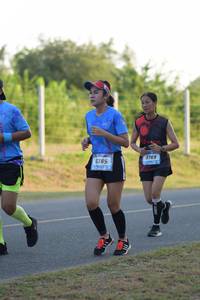 BIB: 5769, 385
                            <button type="button" onclick="openModal(3393730)" class="btn btn-primary btn-sm float-right btn-popup" data-toggle="modal" data-target=".modal-high-quality">
                        <i class="fas fa-shopping-cart"></i> Add to Cart
                    </button>
                                            <button type="button" onclick="isThisMe(3393730, true)" class="btn btn-success btn-sm float-right btn-popup btn-isme hidden" data-toggle="tooltip" data-placement="bottom" title="นี่คือรูปของคุณใช่ไหม คลิกที่นี่เพื่อเอาเข้าอัลบั้ม">
                        <i class="fas fa-plus"></i> Add to album
                    </button>
                    <button type="button" onclick="isThisMe(3393730, false)" class="btn btn-warning btn-sm float-right btn-popup btn-isnotme hidden">
                        <i class="fas fa-ban"></i> Remove from album
                    </button>