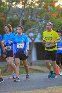 BIB: 8101, 9883, 9146
                            <button type="button" onclick="openModal(3424920)" class="btn btn-primary btn-sm float-right btn-popup" data-toggle="modal" data-target=".modal-high-quality">
                        <i class="fas fa-shopping-cart"></i> Add to Cart
                    </button>
                                            <button type="button" onclick="isThisMe(3424920, true)" class="btn btn-success btn-sm float-right btn-popup btn-isme hidden" data-toggle="tooltip" data-placement="bottom" title="นี่คือรูปของคุณใช่ไหม คลิกที่นี่เพื่อเอาเข้าอัลบั้ม">
                        <i class="fas fa-plus"></i> Add to album
                    </button>
                    <button type="button" onclick="isThisMe(3424920, false)" class="btn btn-warning btn-sm float-right btn-popup btn-isnotme hidden">
                        <i class="fas fa-ban"></i> Remove from album
                    </button>