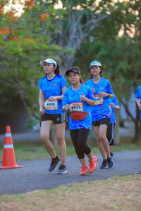 BIB: 946, 8866, 8643
                            <button type="button" onclick="openModal(3425351)" class="btn btn-primary btn-sm float-right btn-popup" data-toggle="modal" data-target=".modal-high-quality">
                        <i class="fas fa-shopping-cart"></i> Add to Cart
                    </button>
                                            <button type="button" onclick="isThisMe(3425351, true)" class="btn btn-success btn-sm float-right btn-popup btn-isme hidden" data-toggle="tooltip" data-placement="bottom" title="นี่คือรูปของคุณใช่ไหม คลิกที่นี่เพื่อเอาเข้าอัลบั้ม">
                        <i class="fas fa-plus"></i> Add to album
                    </button>
                    <button type="button" onclick="isThisMe(3425351, false)" class="btn btn-warning btn-sm float-right btn-popup btn-isnotme hidden">
                        <i class="fas fa-ban"></i> Remove from album
                    </button>